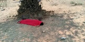 क्या बेटियों की कीमत बस एक मांस के लोथड़े भर की है ?