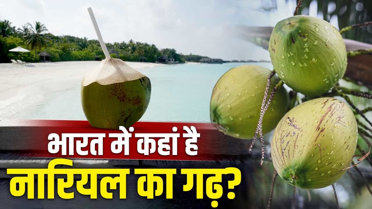 Coconut Production in India: न केरल, न तमिलनाडु—यह राज्य है नारियल उत्पादन का असली किंग ?