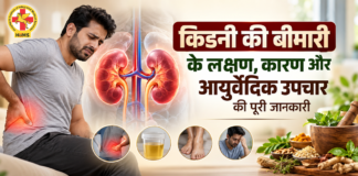 किडनी की बीमारी के लक्षण, कारण, जांच और उपचार: आयुर्वेद को लेकर भी जानें जरूरी बातें ?